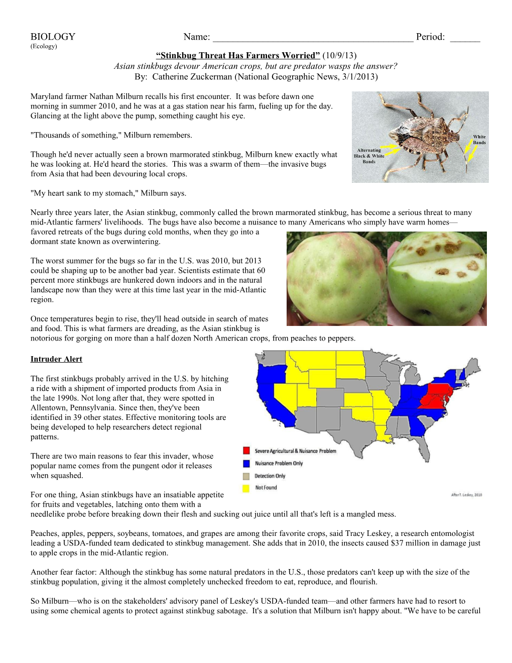 Stinkbug Threat Has Farmers Worried (10/9/13)