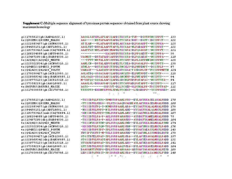 Supplement C: Multiple Sequence Alignment of Tyrosinase Protein Sequences Obtained From