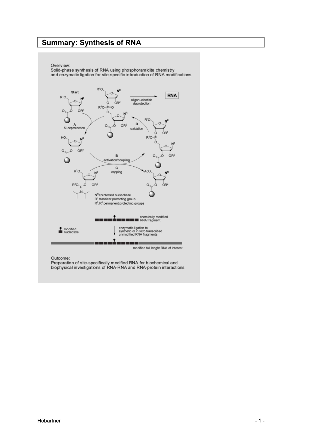 Synthesis of RNA