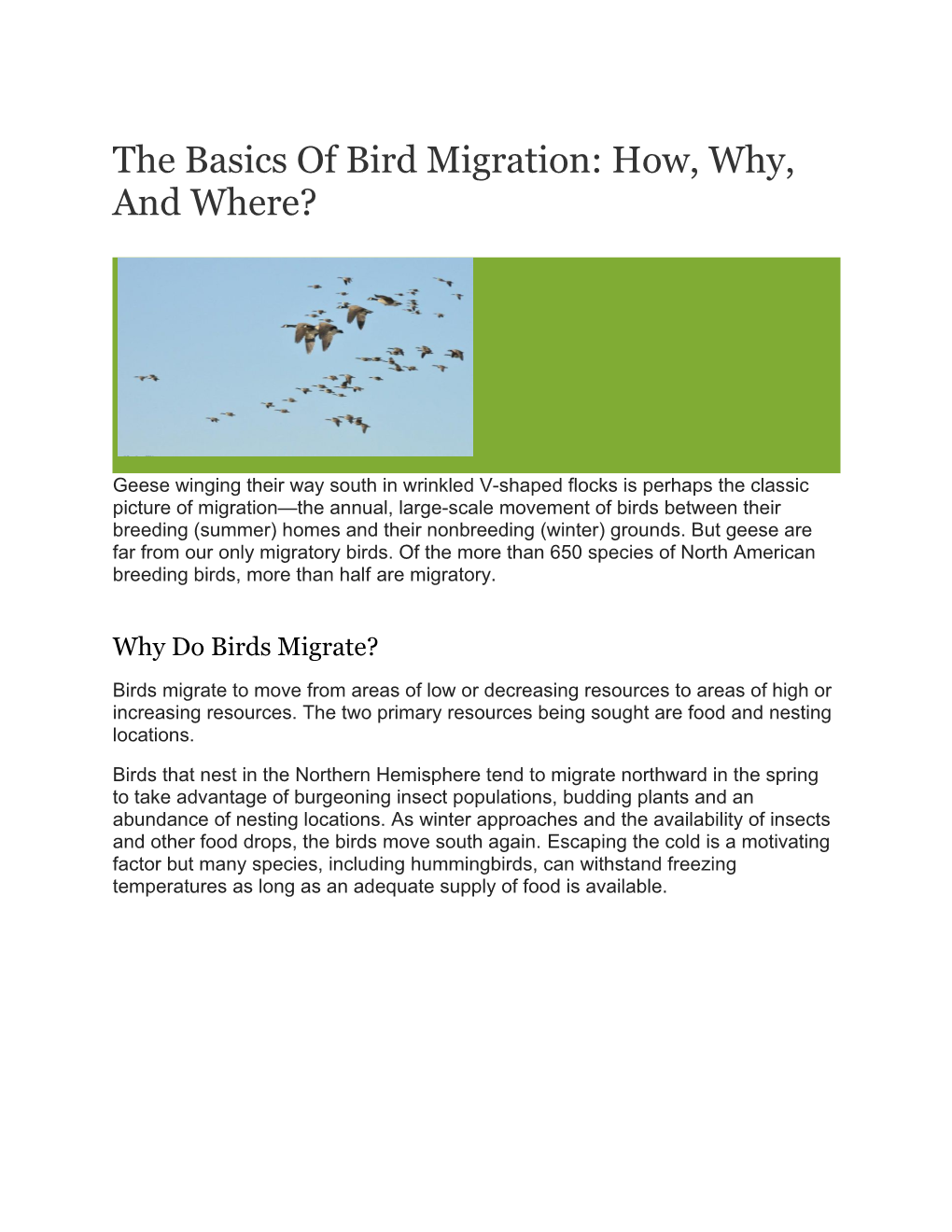 The Basics of Bird Migration: How, Why, and Where?