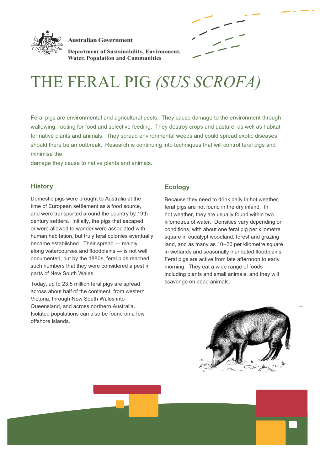The Feral Pig (Sus Scrofa) - Fact Sheet