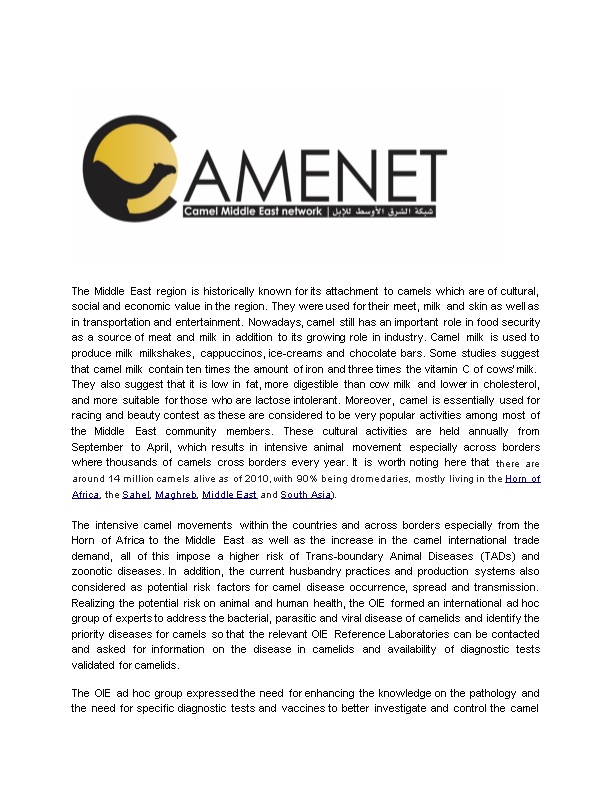 The Objectives of CAMENET