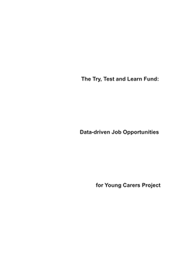 The Try, Test and Learn Fund