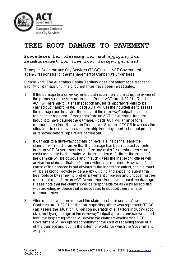 Tree Root Damage to Pavement