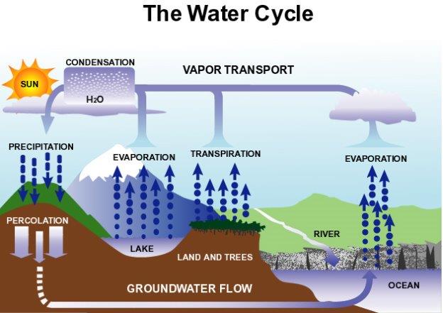 24 1 watercycle