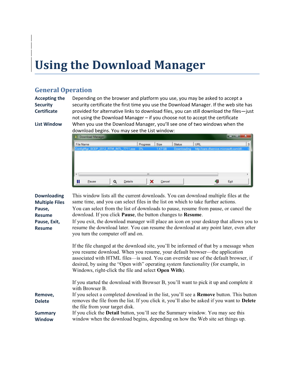 Using the Download Manager