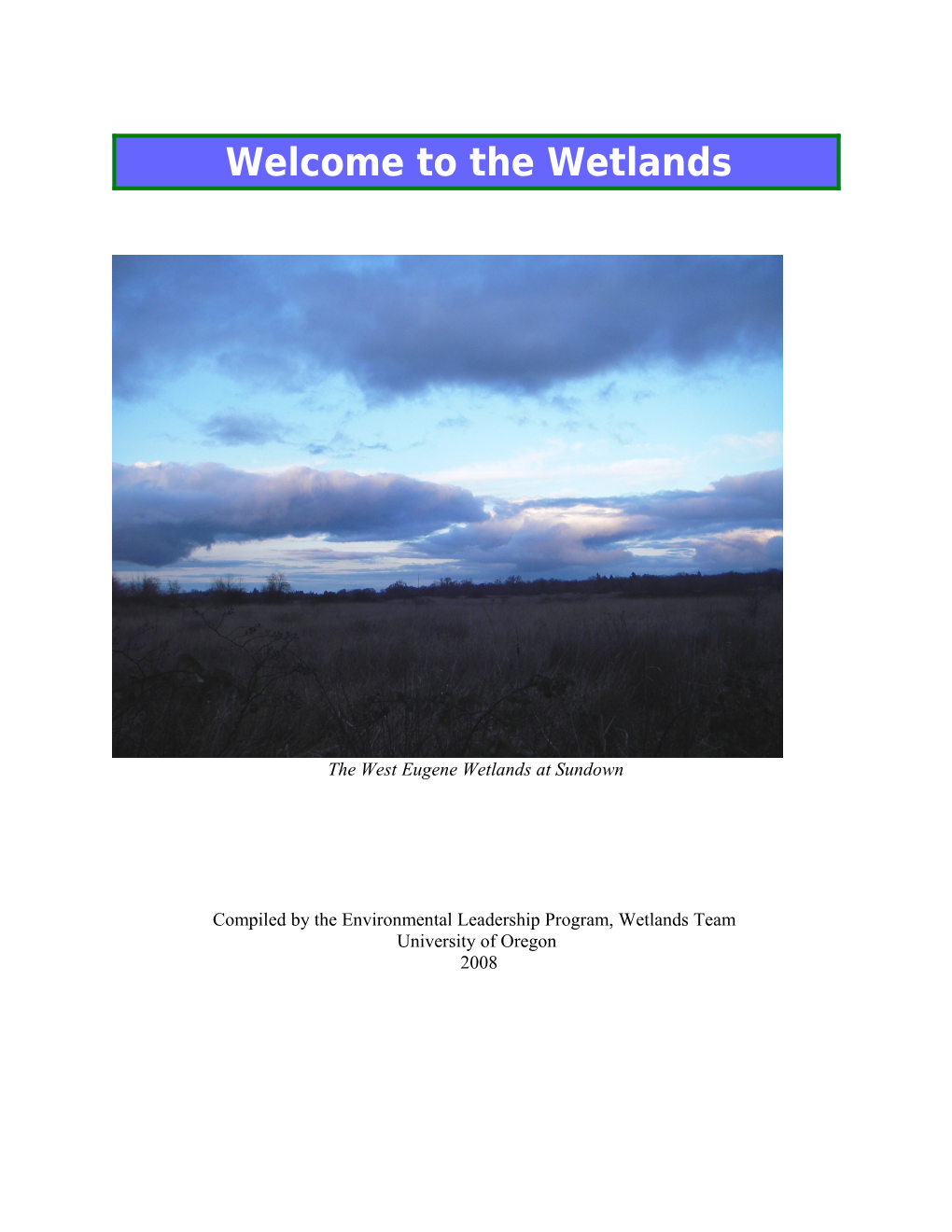 Welcome to the Wetlands